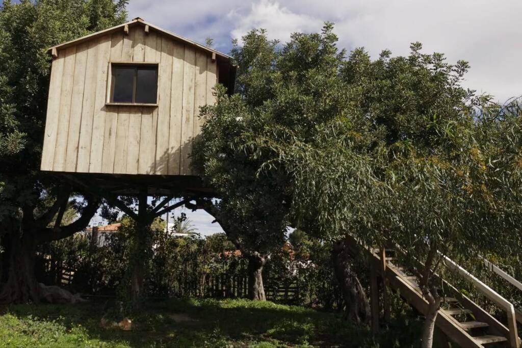 Casa Campo Con Piscina Y Barbacoa Para 6 Personas En Plena Naturaleza Picassent Dış mekan fotoğraf